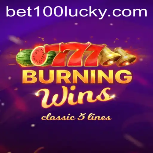 Exploring BurningWins and Its Betting Dynamics